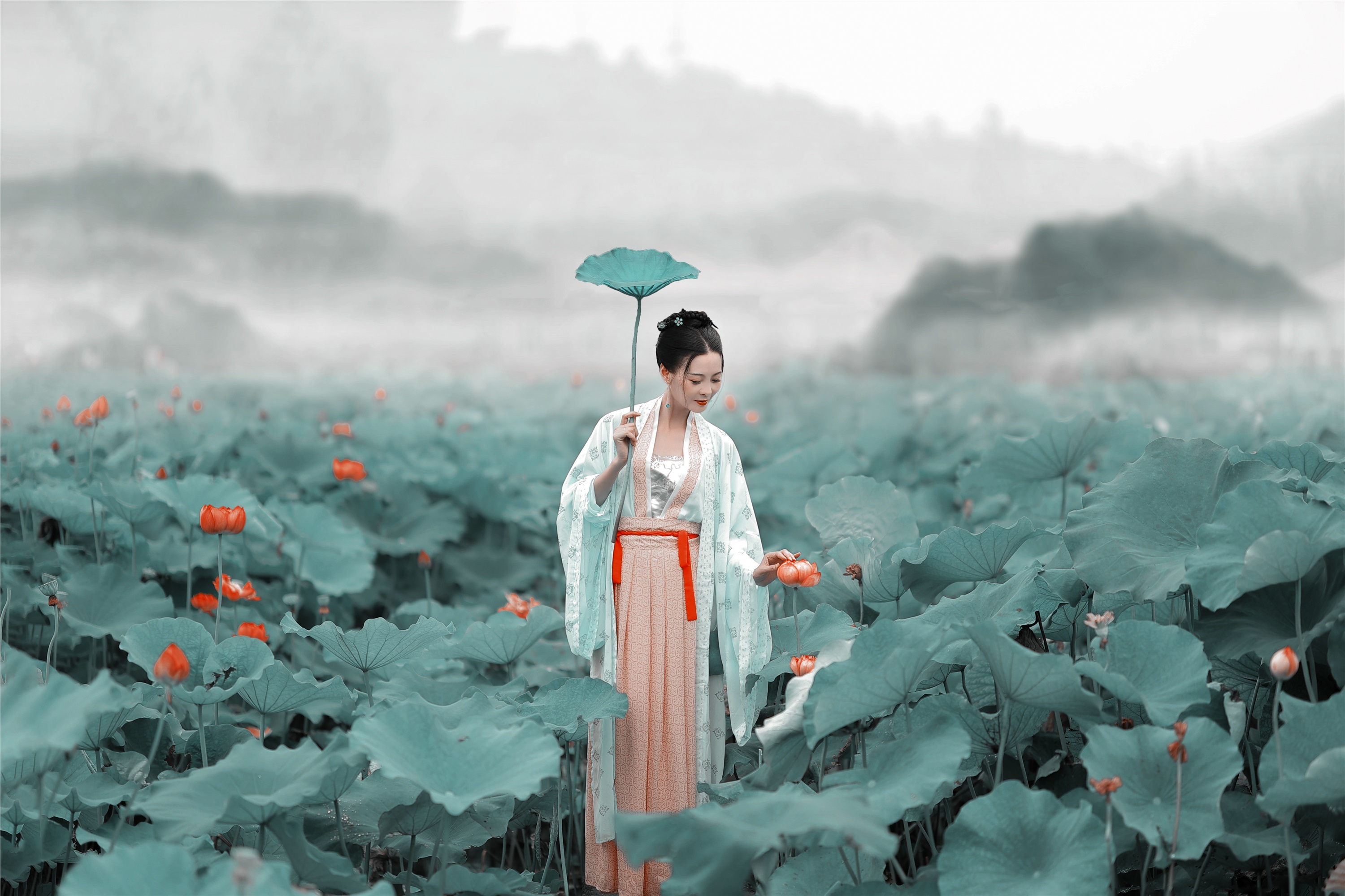 YITUYU艺图语 2021.08.16 采莲曲 莲